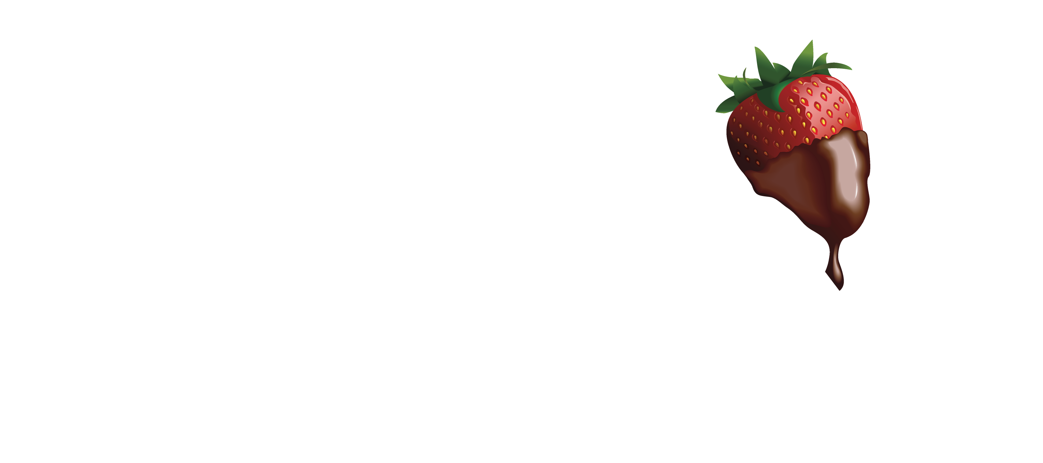 Fort Wayne Chocolate Fountain