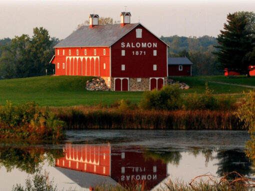 Salomon Farms
